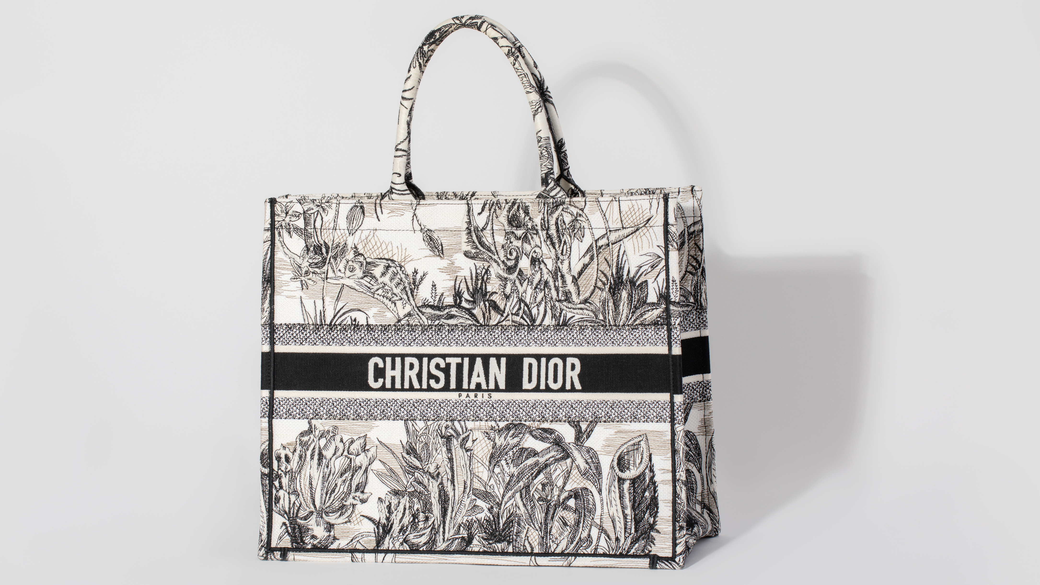 What is the Best Designer Tote Bag: Dior Book Tote vs Louis