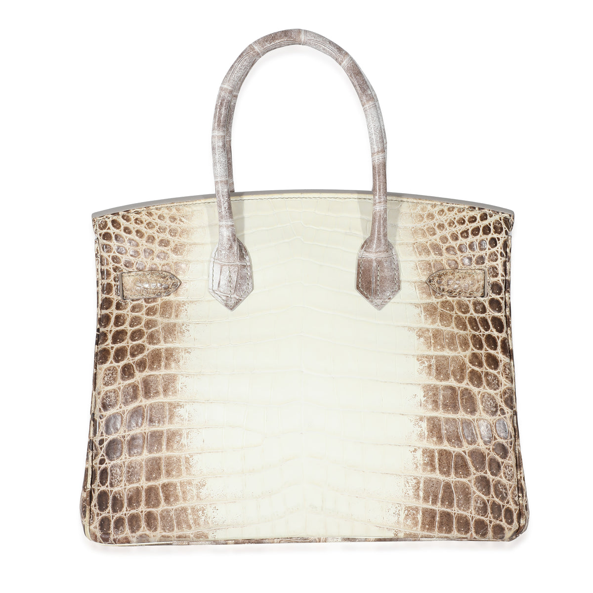 Matte White Himalaya Niloticus Crocodile Birkin 30 PHW