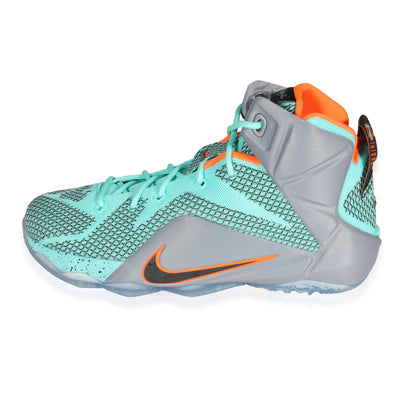 LeBron 12 GS NSRL (6.5 US)