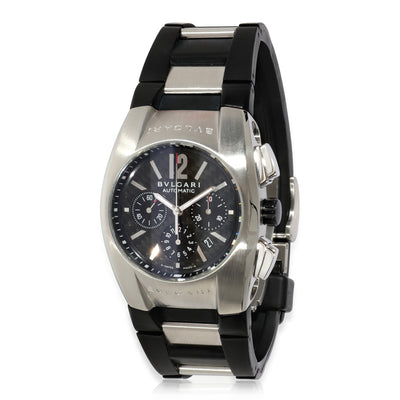 Ergon EG 35 SCH Mens Watch in  Stainless Steel