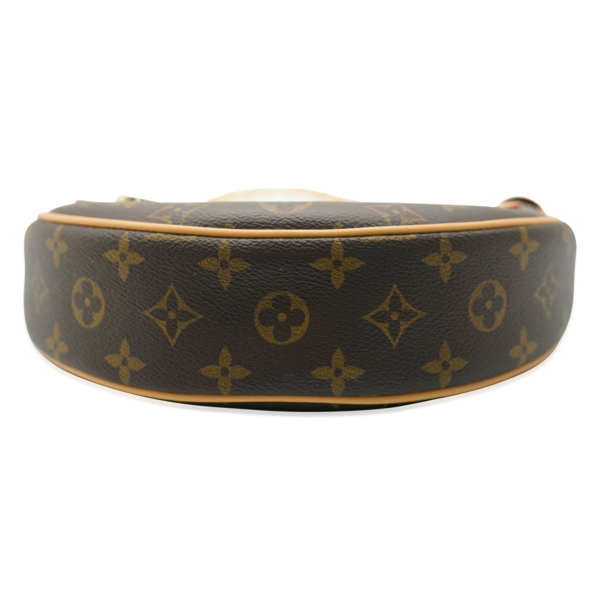 Louis Vuitton LV Monogram Canvas Loop Handbag bv