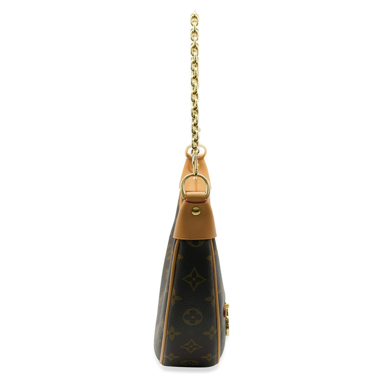 Louis Vuitton LV Monogram Canvas Loop Handbag pv