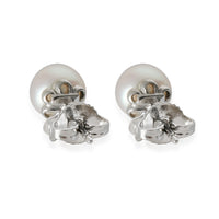 Signature Pearls Stud Earrings in 18k White Gold