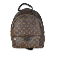 Louis Vuitton Monogram Canvas Palm Springs MM