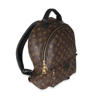 Louis Vuitton Monogram Canvas Palm Springs MM