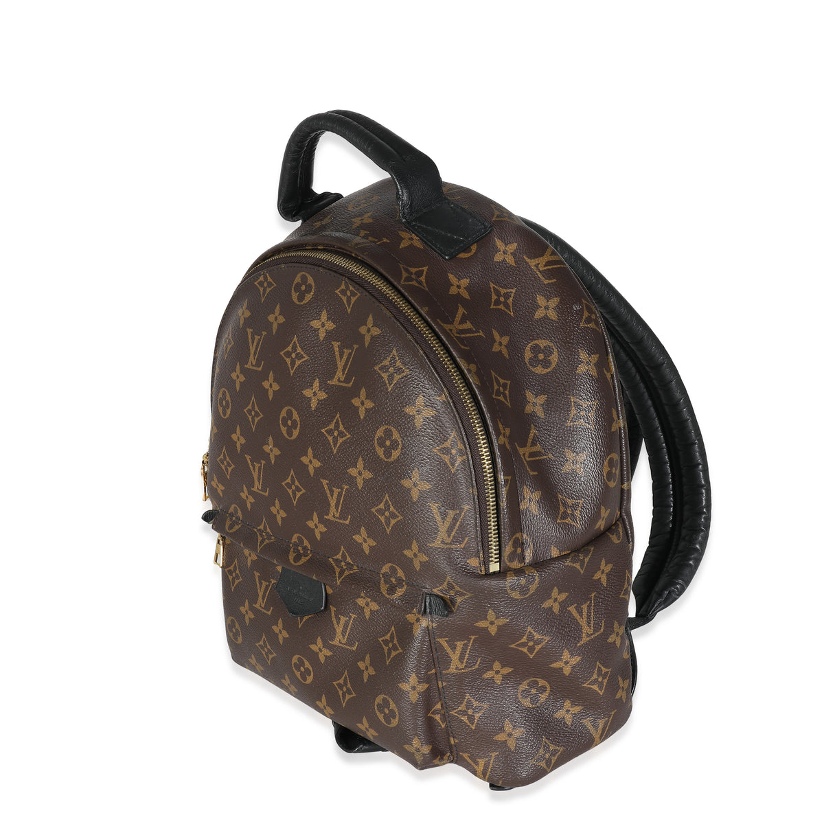 Louis Vuitton Monogram Canvas Palm Springs MM