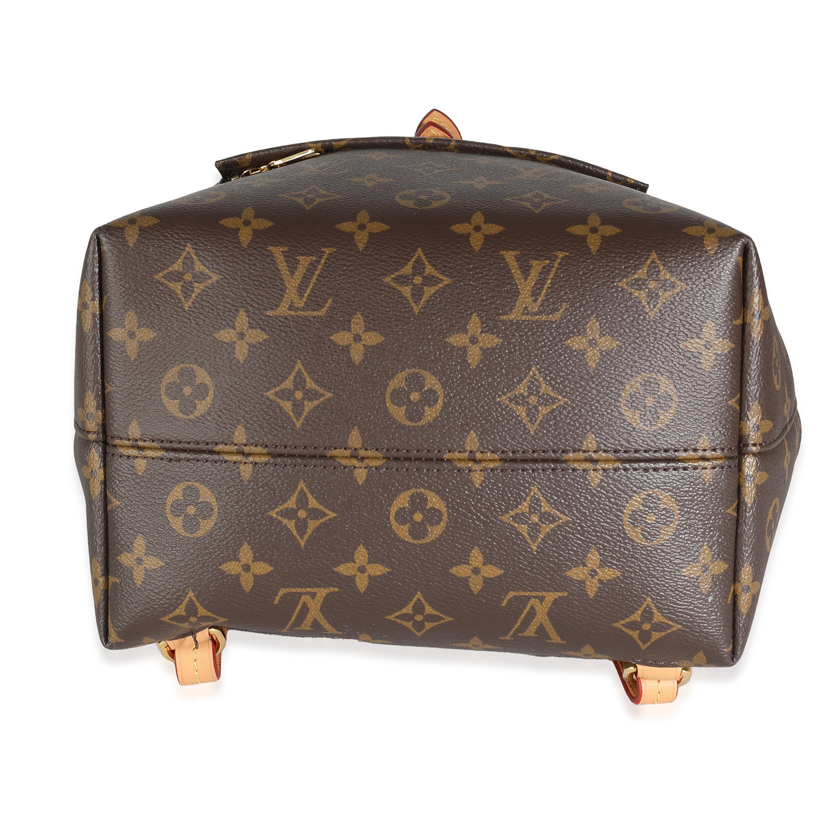 Monogram Canvas Montsouris PM NM