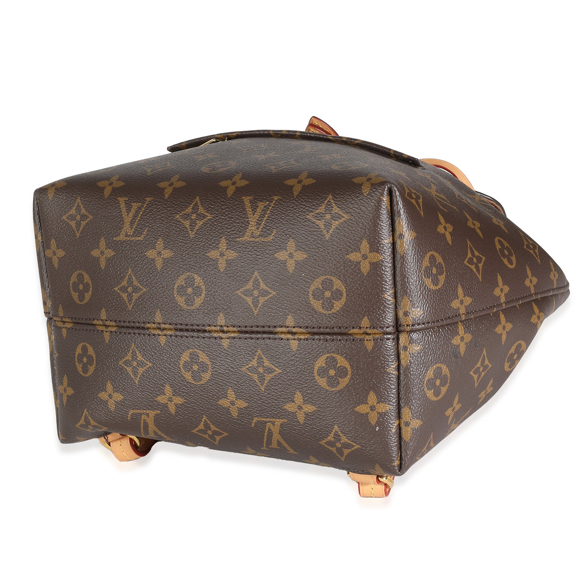 Monogram Canvas Montsouris PM NM