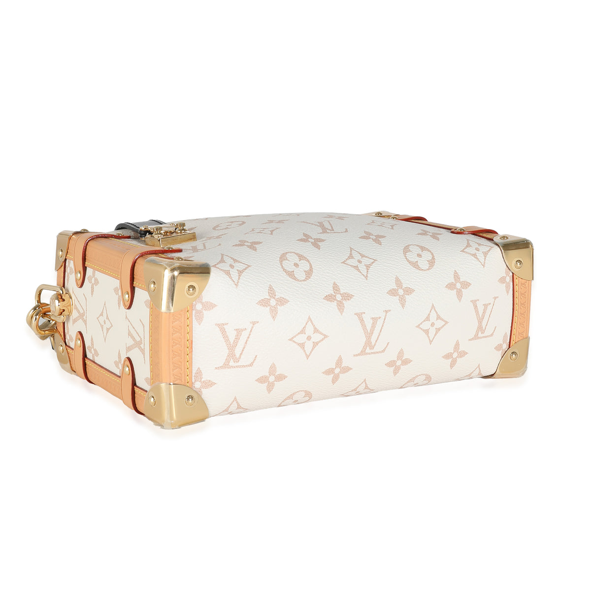 Dune Monogram Canvas Side Trunk MM