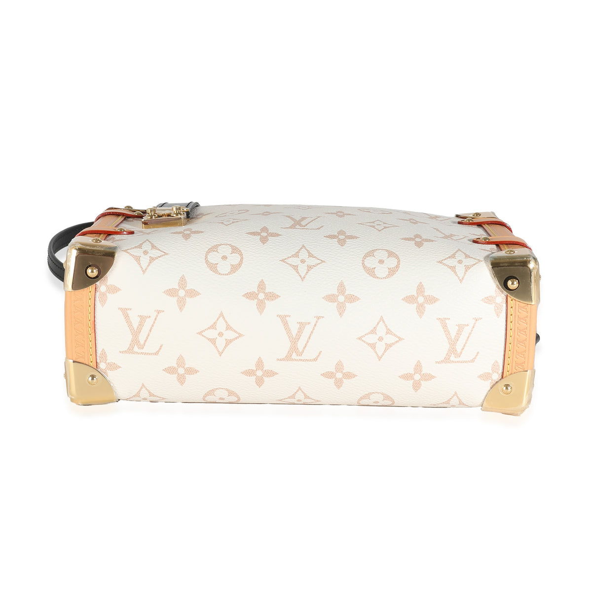 Dune Monogram Canvas Side Trunk MM