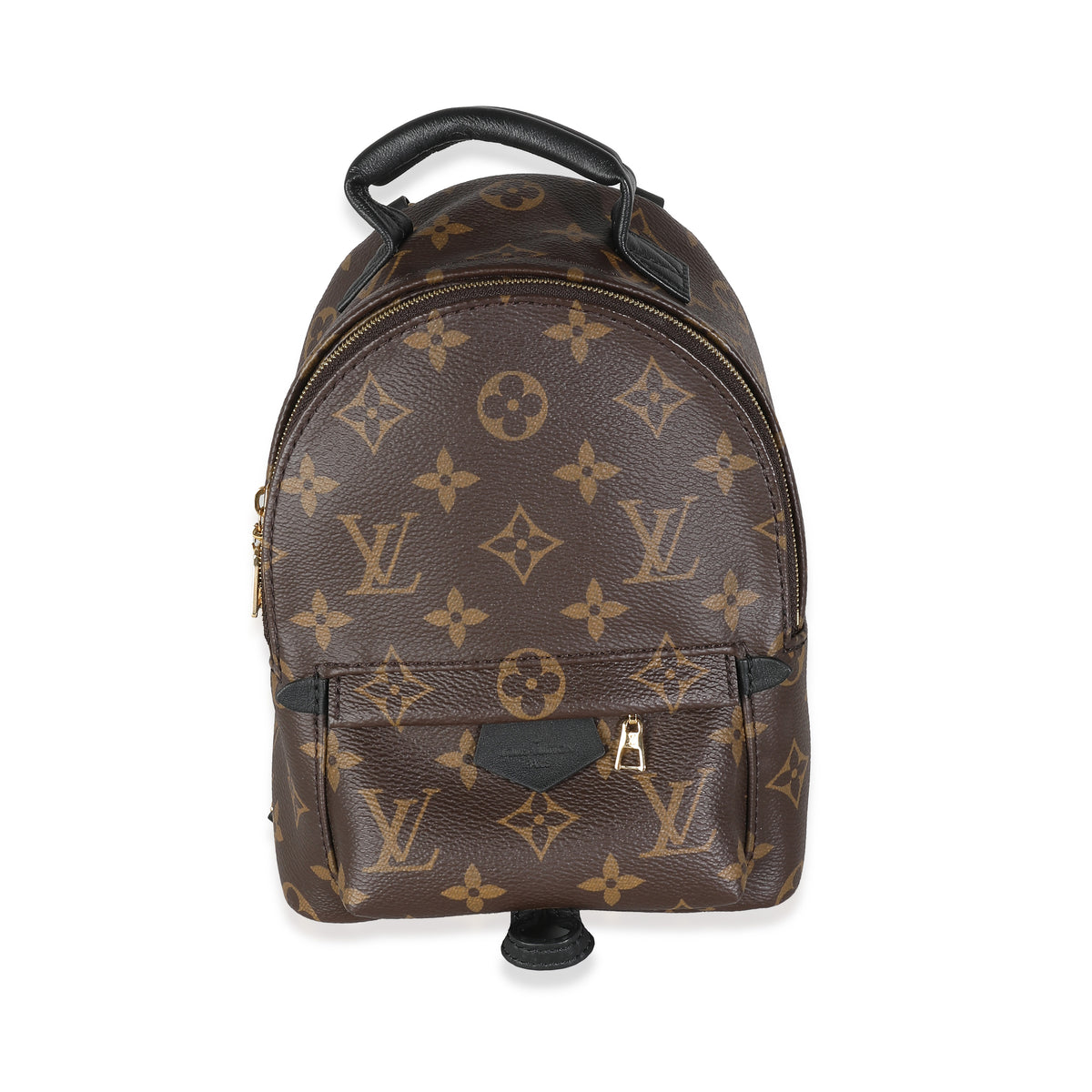 Monogram Canvas Mini Palm Springs