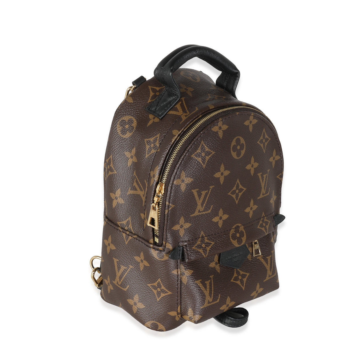 Louis Vuitton Monogram Canvas Mini Palm Springs | myGemma