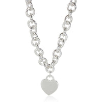 Fashion Necklace in  Sterling Silver