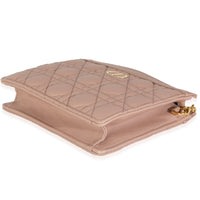 Fard Calfskin Cannage Dior Caro Every Dior Pouch