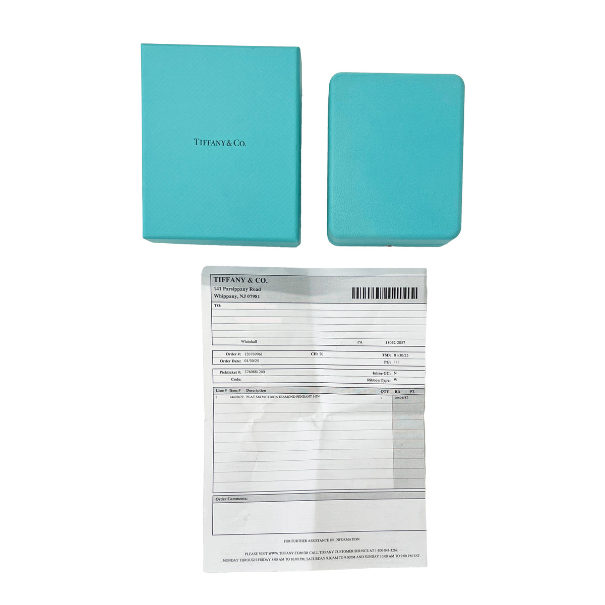 Platinum  Small Model Victoria Pendant