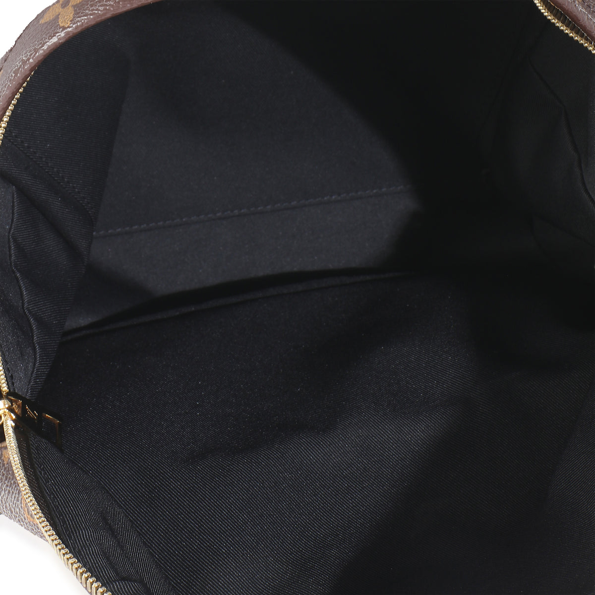 Louis Vuitton Monogram Canvas Palm Springs MM Handbag av