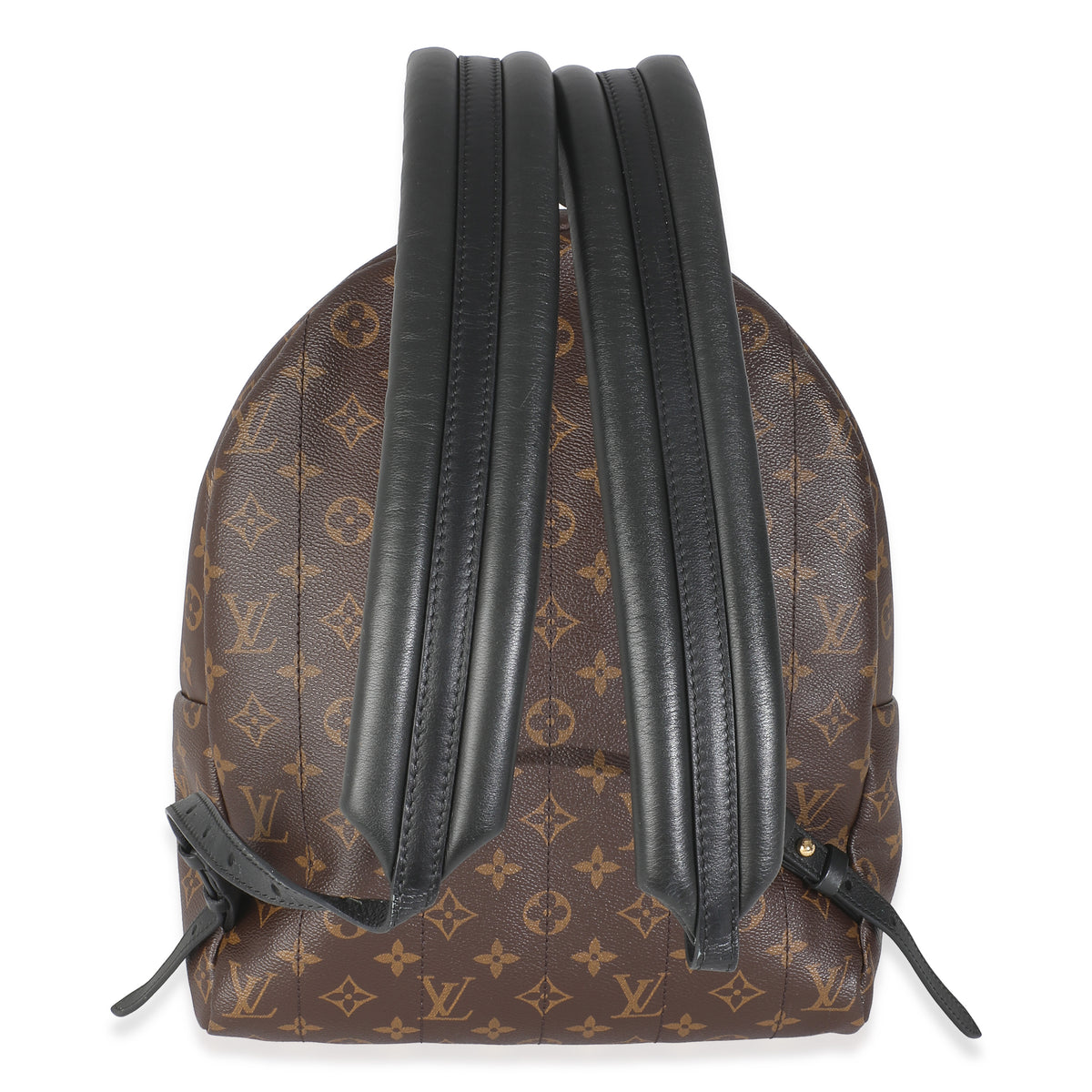 Louis Vuitton Monogram Canvas Palm Springs MM Handbag bv