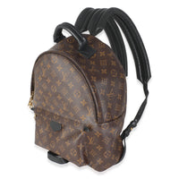 Louis Vuitton Monogram Canvas Palm Springs MM Handbag sv