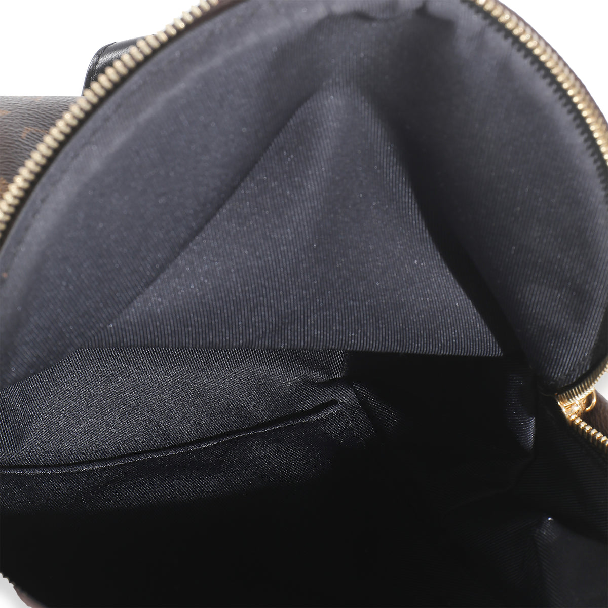 Monogram Canvas Palm Springs PM