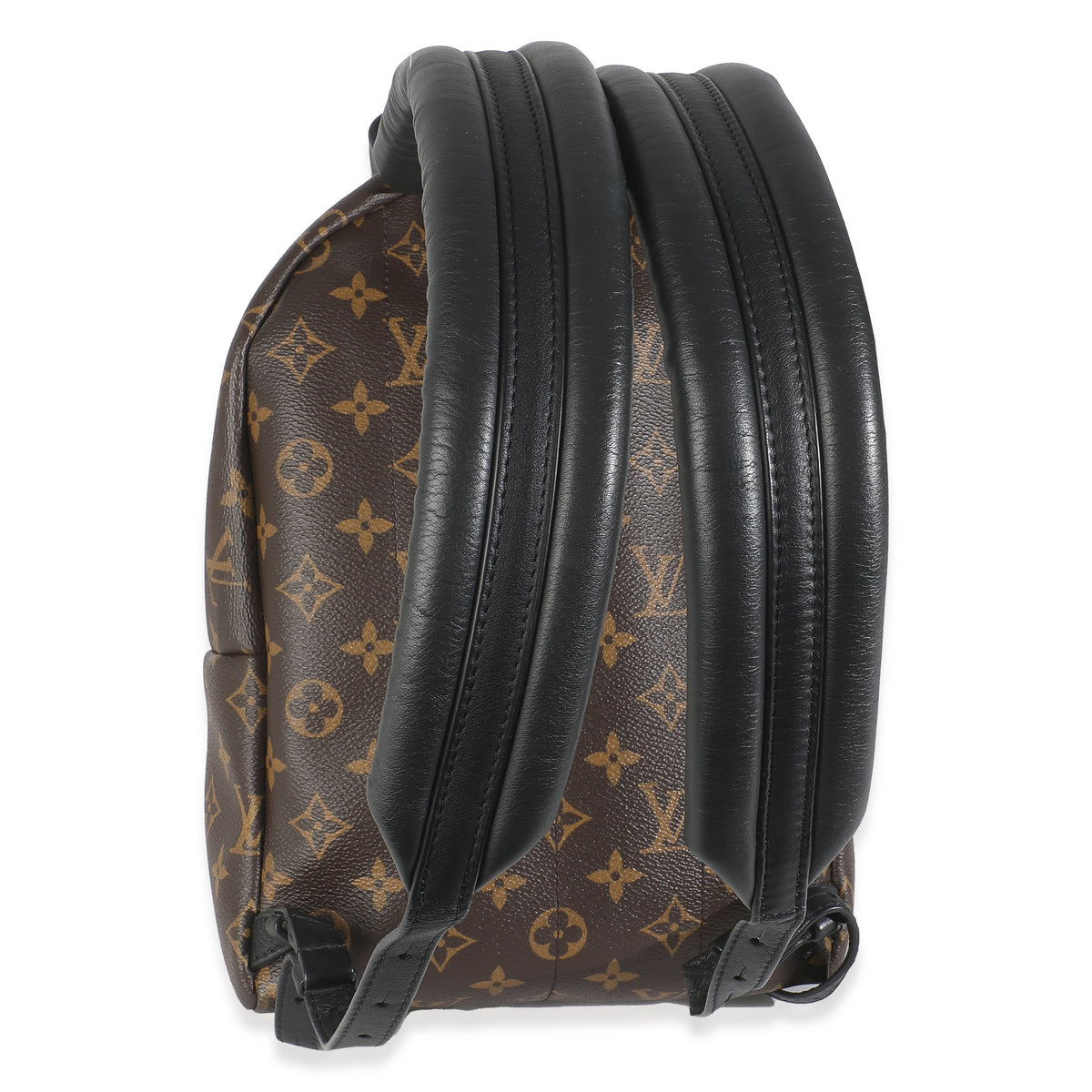 Monogram Canvas Palm Springs PM