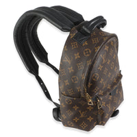 Monogram Canvas Palm Springs PM