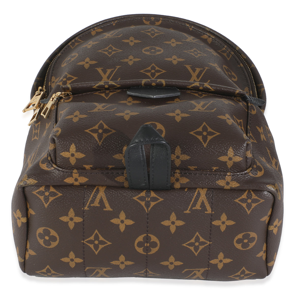 Monogram Canvas Palm Springs PM