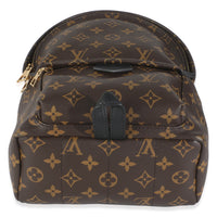 Monogram Canvas Palm Springs PM