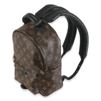 Monogram Canvas Palm Springs PM