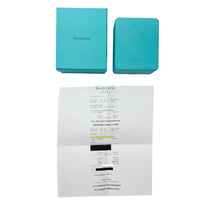Tiffany & Co. Platinum Diamond Large Model Victoria Earrings box
