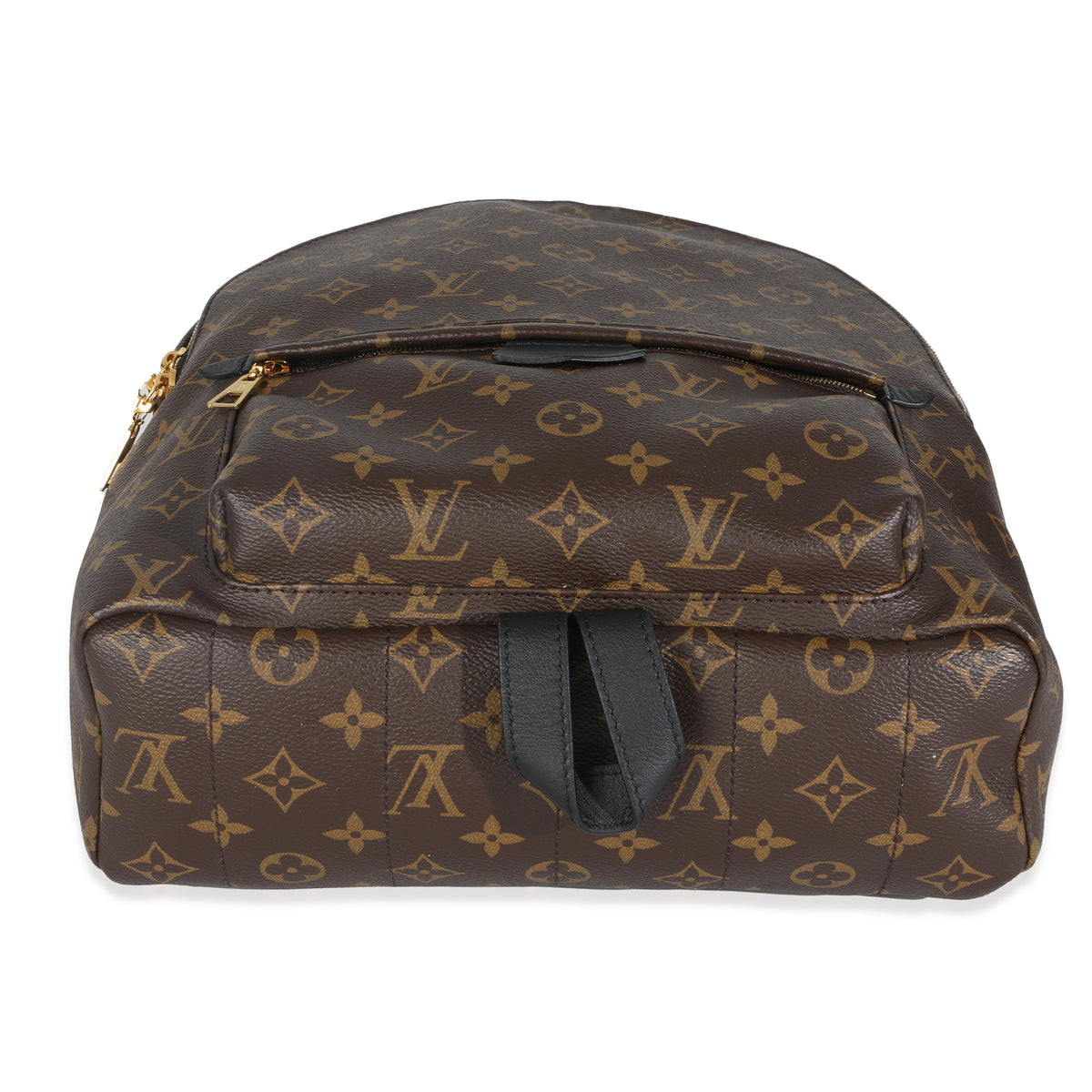 Monogram Canvas Palm Springs MM