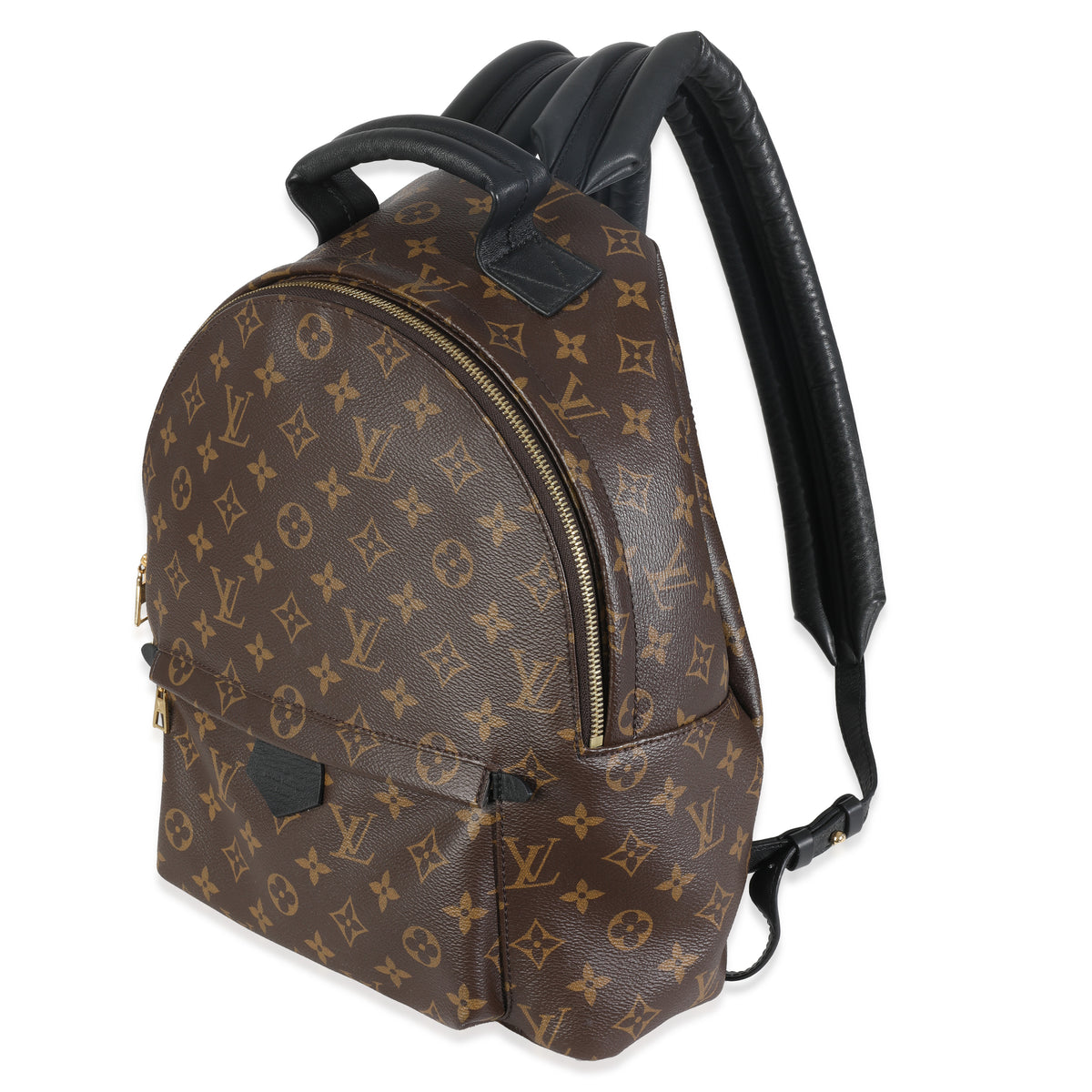 Monogram Canvas Palm Springs MM