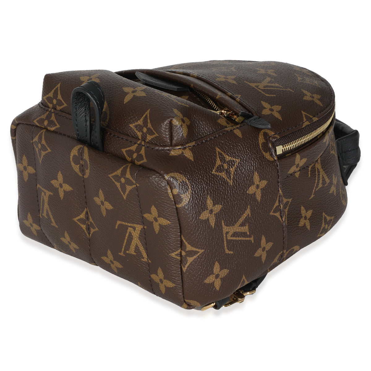 Monogram Canvas Mini Palm Springs