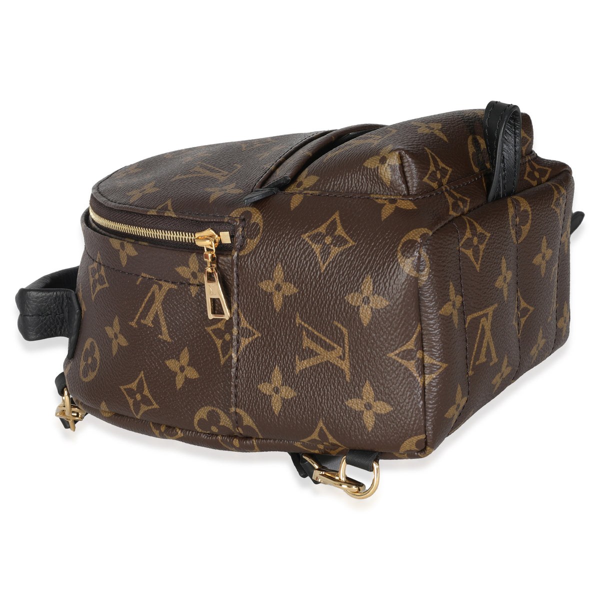 Monogram Canvas Mini Palm Springs