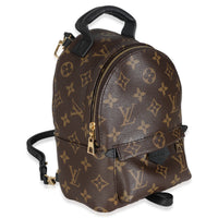 Monogram Canvas Mini Palm Springs