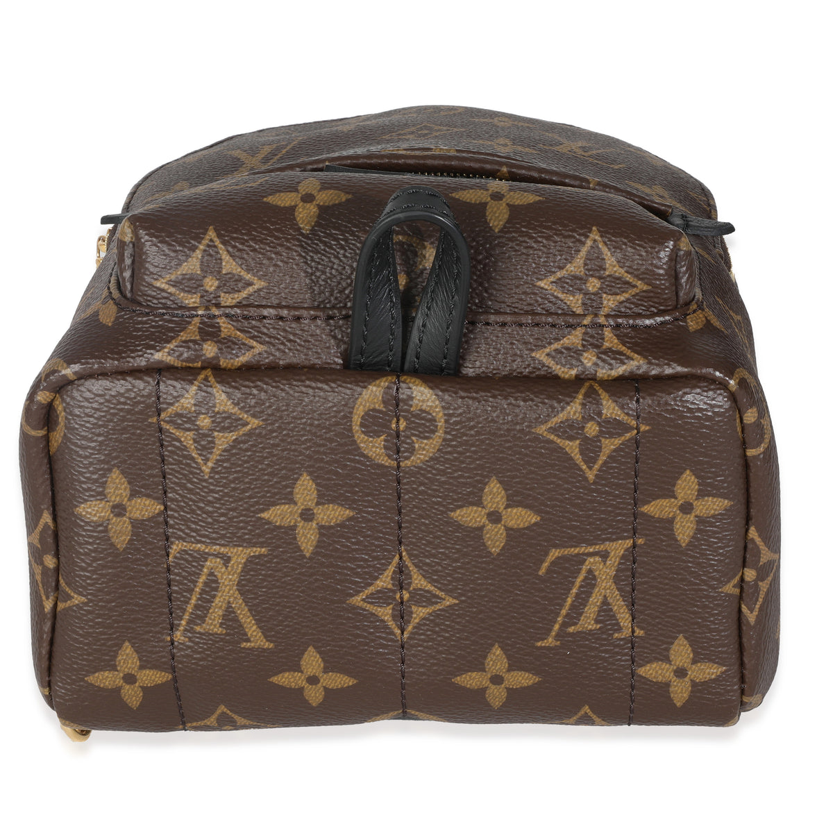 Monogram Canvas Mini Palm Springs