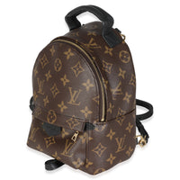 Monogram Canvas Mini Palm Springs