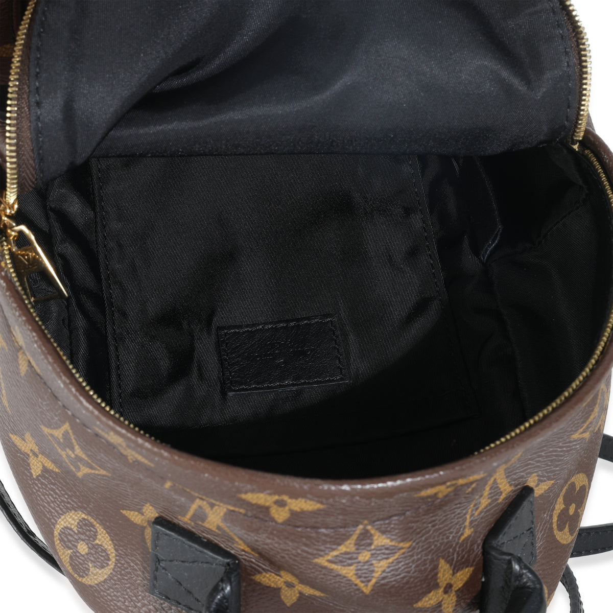 Monogram Canvas Mini Palm Springs