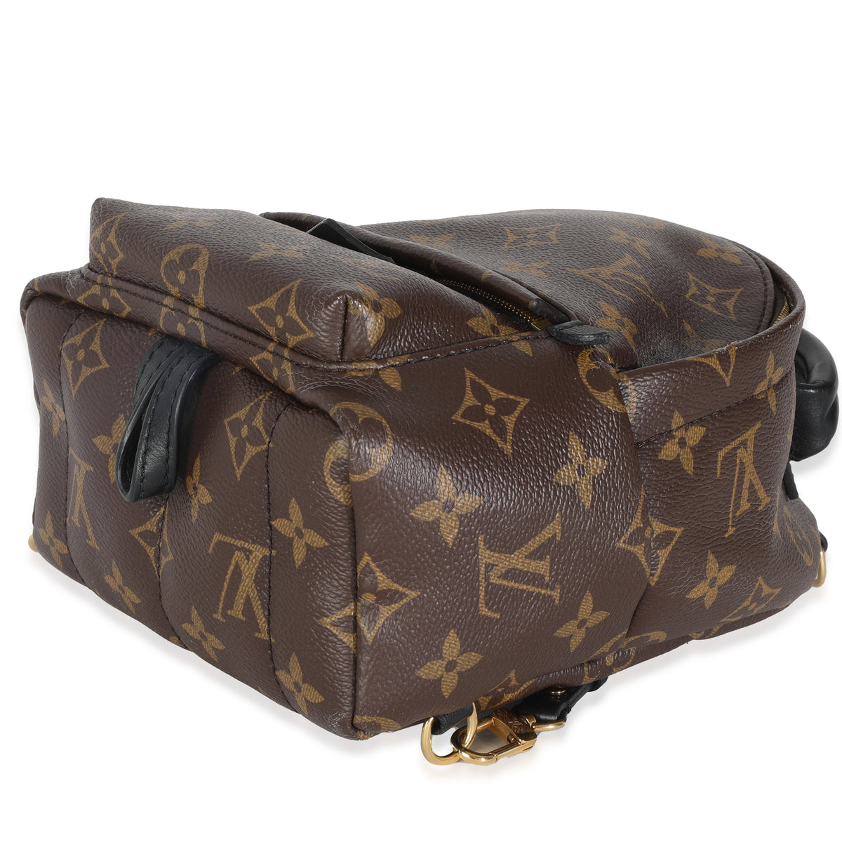 Monogram Canvas Mini Palm Springs