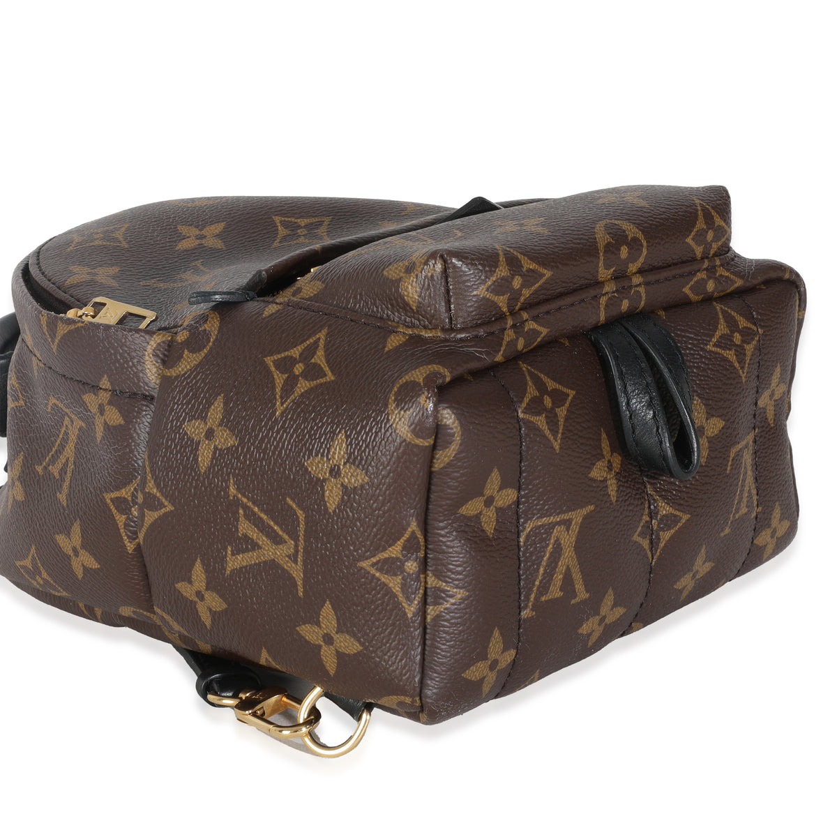 Monogram Canvas Mini Palm Springs