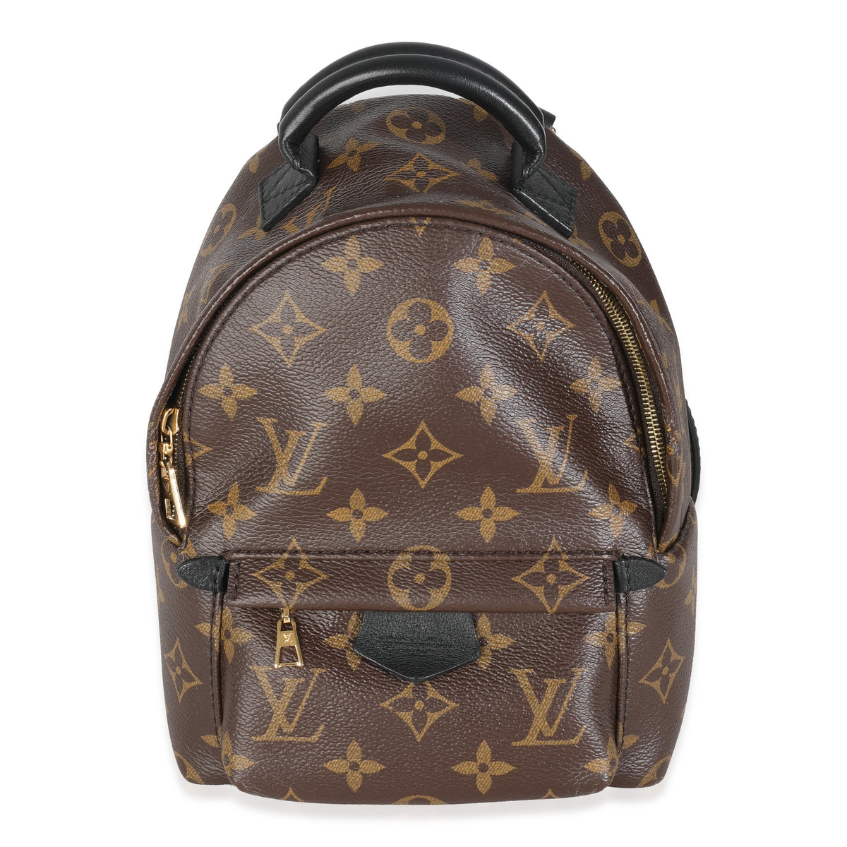 Monogram Canvas Mini Palm Springs