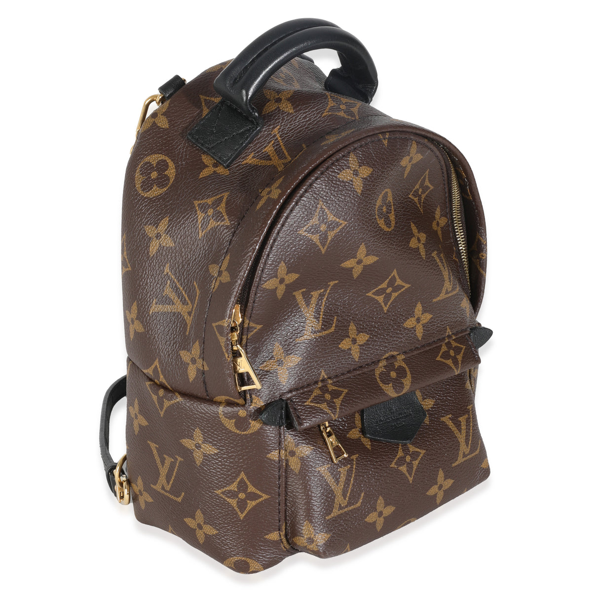 Monogram Canvas Mini Palm Springs