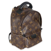 Monogram Canvas Mini Palm Springs