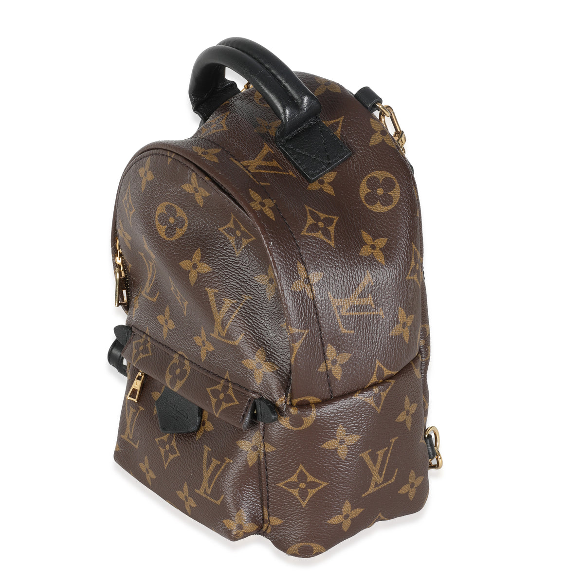 Monogram Canvas Mini Palm Springs