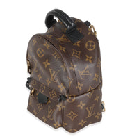 Monogram Canvas Mini Palm Springs