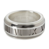 Sterling Silver & Titanium Atlas Ring