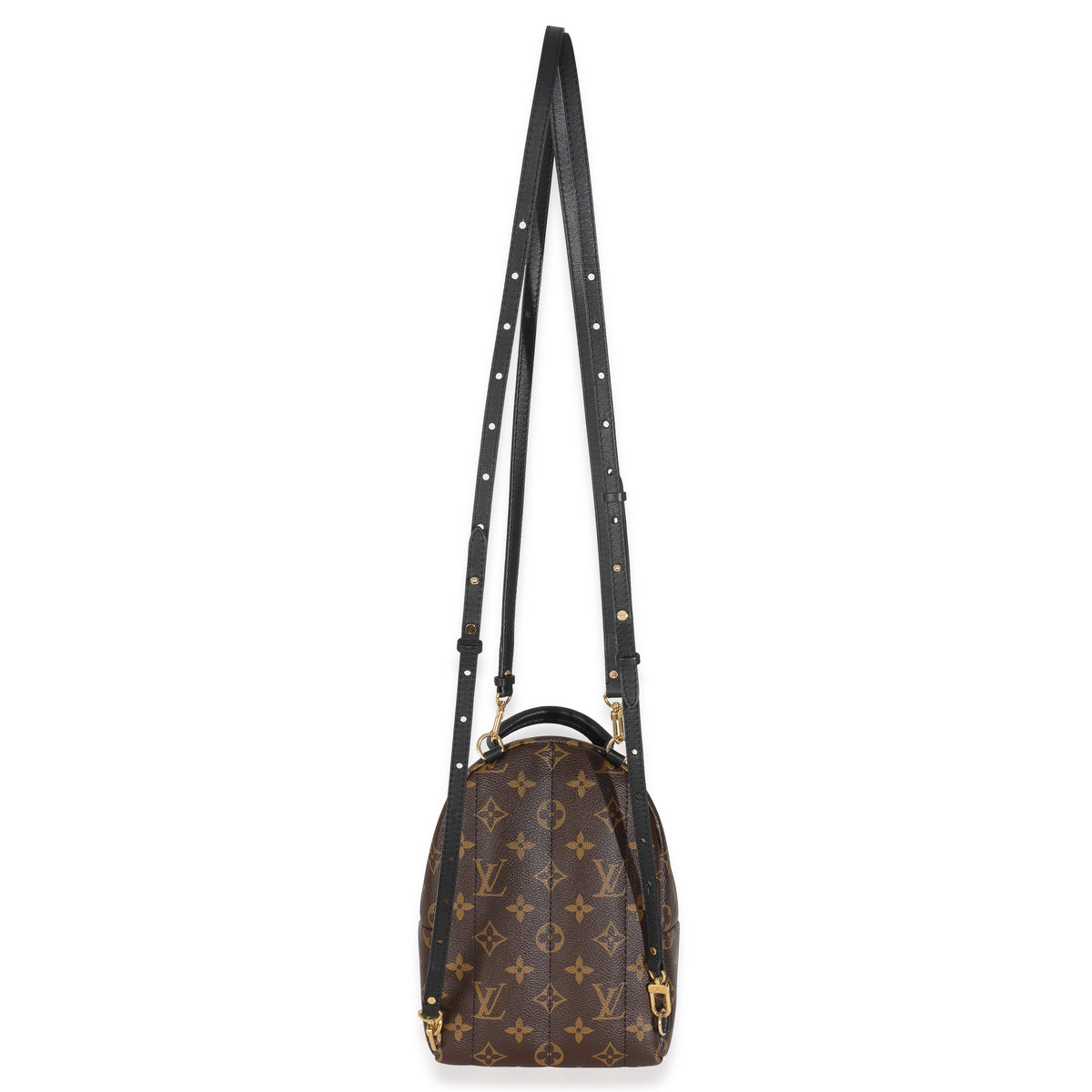 Monogram Canvas Mini Palm Springs Backpack