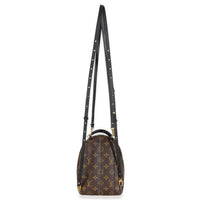 Monogram Canvas Mini Palm Springs Backpack