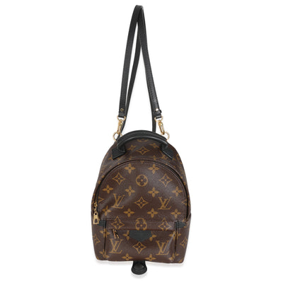 Monogram Canvas Mini Palm Springs Backpack