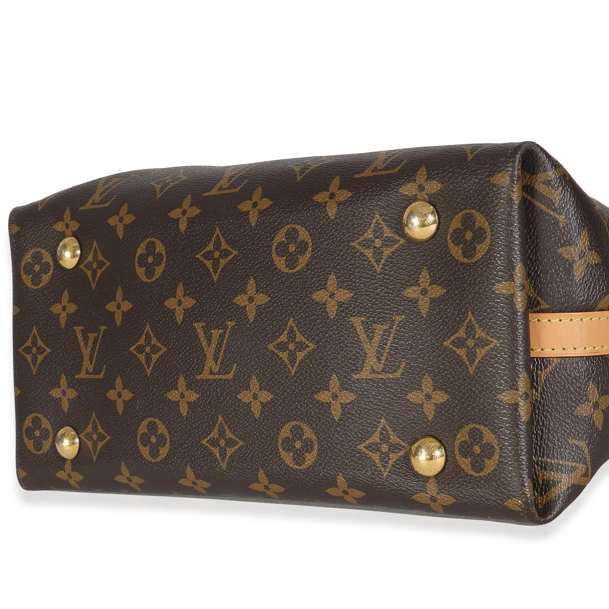 Monogram Canvas Carryall PM