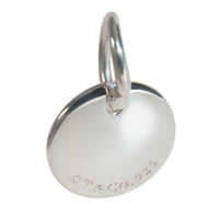 Sterling Silver  Notes Initial S Charm